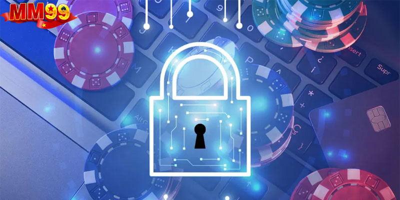 Chính sách quy định đang được triển khai tại nền tảng