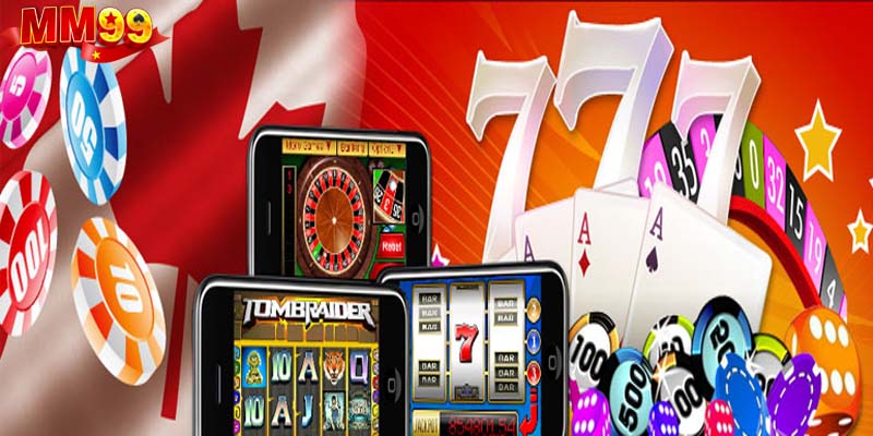 Tổng hợp điểm nổi bật nhất tại dành cho hội viên